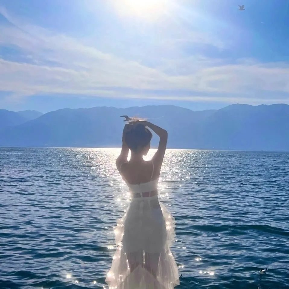 风流世家