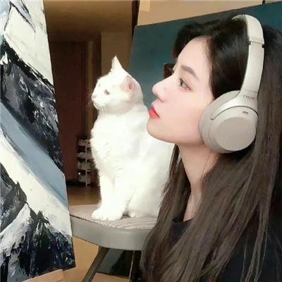 懵兄戆弟